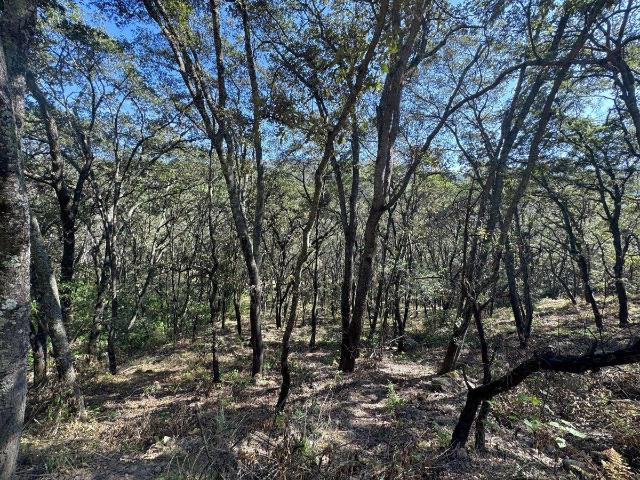 VENTA TERRENO LOTE 70 MZ 6, FRACCIONAMIENTO CAMPESTRE, VILLA DEL CARB?N