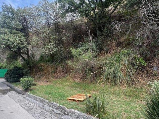 VENTA TERRENO PUERTA REAL BOSQUE REAL