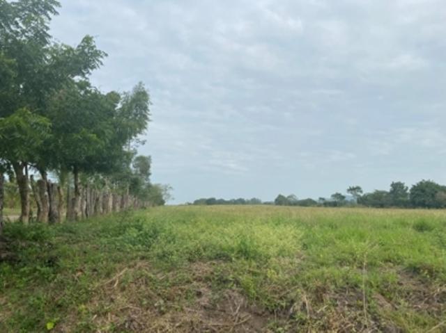 VENTA TERRENO POR BRUNO PLAGIALLI, VERACRUZ