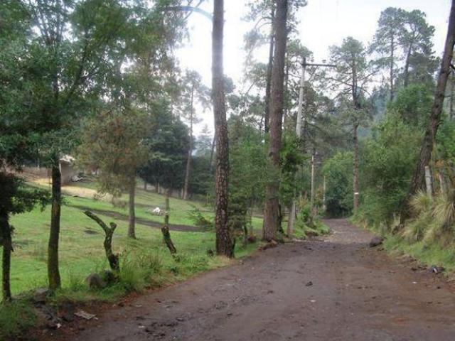 VENTA TERRENO POR FRACCION O COMPLETO