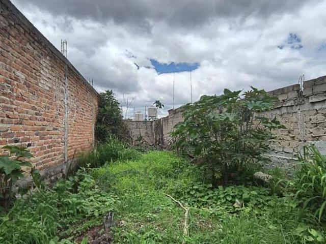 VENTA TERRENO POR GOBERNADOR CURIEL Y PERIFERICO