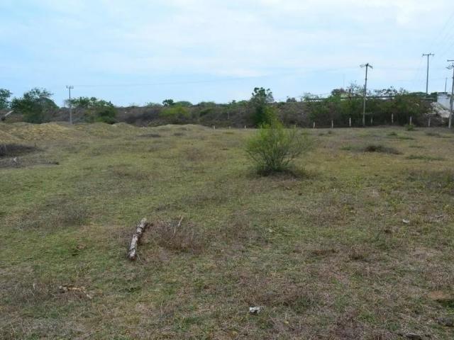 VENTA TERRENO RUSTICO DE 7,804.57M2 EN TUXPAN, VERACRUZ