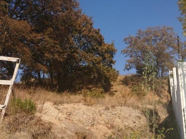 VENTA TERRENO RANCHO SAN JUAN, EN LA MEJOR CALLE: BEJUCOS, PRECIOSAS VISTAS
