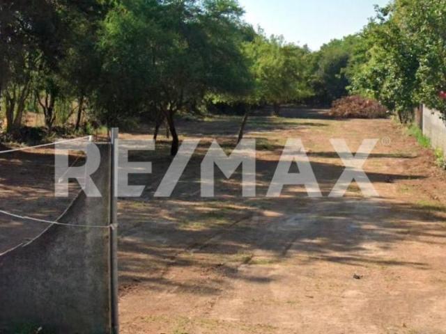 Venta Terreno Residencial en Allende N.L. M?xico. 4