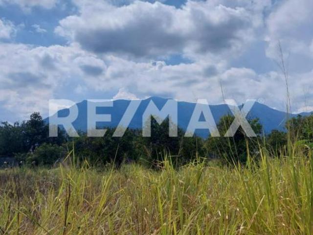 Venta terreno Residencial 6,000m2 en Allende Nuevo León, México. 4