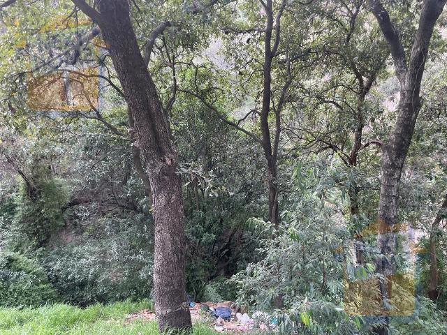 VENTA TERRENO SAN FERNANDO