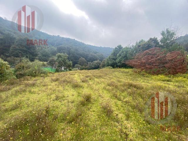 VENTA TERRENO SAN LUIS AYUCAN JILOTZINGO, PROPIEDAD PRIVADA