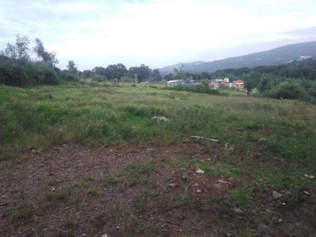 VENTA TERRENO SANTA MARÍA MAZATLA