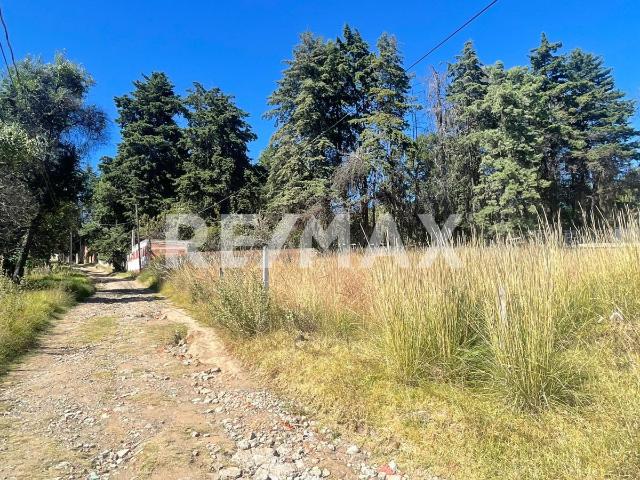 Venta terreno Santa Rita Tlahuapan