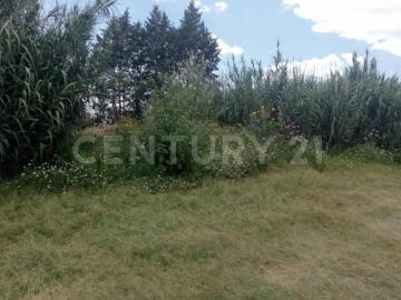 Venta Terreno, Santa Ursula Zimatepec, Yauhquemecan,Tlaxcala
