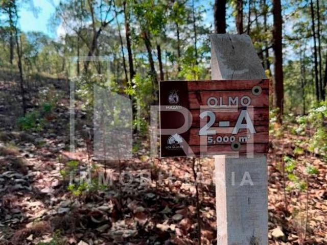 TERRENO EN VENTA SIERRA MAZATI EN AGUA ZARCA TAPALPA