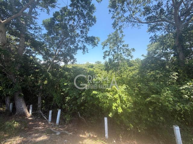 VENTA TERRENO SOBRE AUTOPISTA TUXPAN M?XICO
