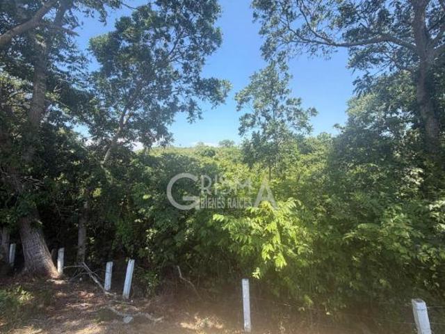 VENTA TERRENO SOBRE AUTOPISTA TUXPAN MÉXICO