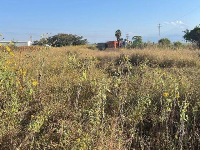 Venta Terreno Tlayecac, Ayala, Morelos