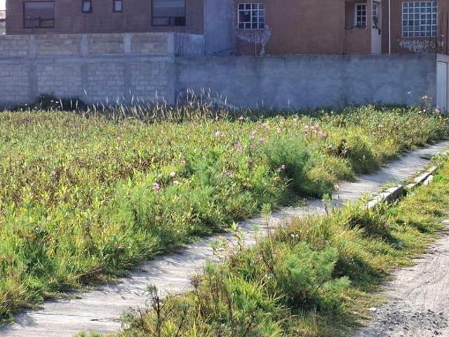 Venta, Terreno, Zimbrones, Zinacantepec