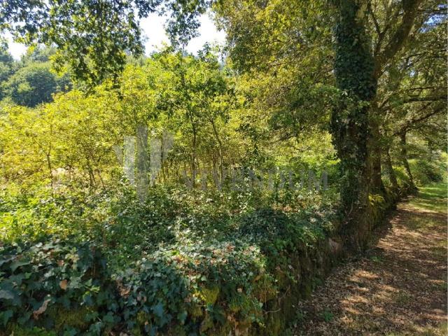 VENTA TERRENO 1900M2 ZONA PORTOVILÁN FORNELOS DO MONTE