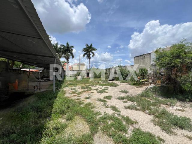 Venta terreno 1016m2 Col. Benito Juárez Nte, cerca Prol. Montejo en Mérida, Yuc