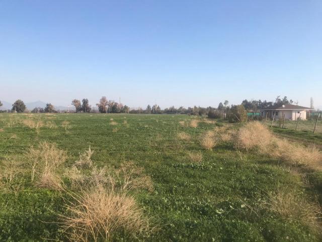 Venta Terreno 125.000 m2 Colina