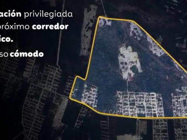 VENTA TERRENO 50 HECTAREAS COSTA MUJERES