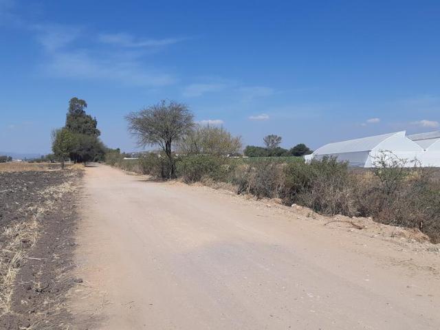 VENTA | Terreno 5 ha. con riego por goteo | titulo de propiedad