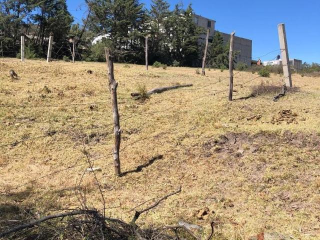 Venta Terrenos en Jilotzingo