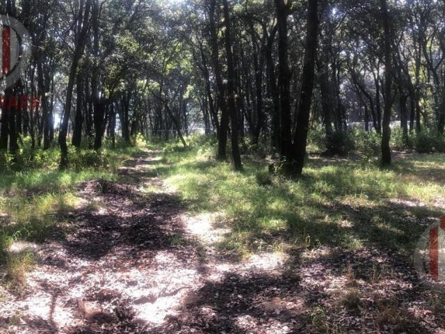Venta Terrenos en Jilotzingo