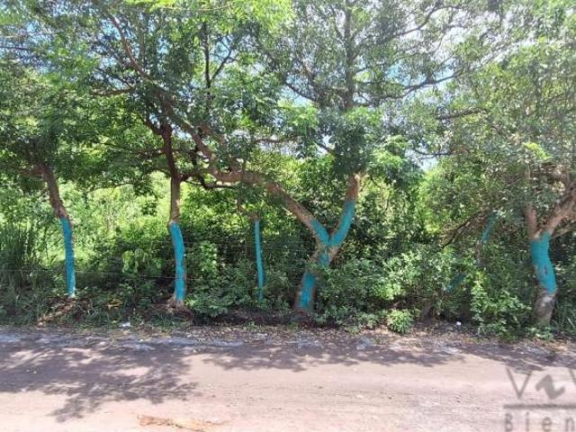 Venta Terrenos en Mata de Uva