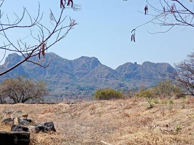 VENTA TERRENOS PLANOS EN TEPOZTLAN MORELOS