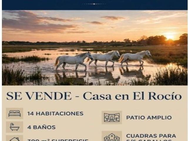 Venta Vivienda en El Rocío