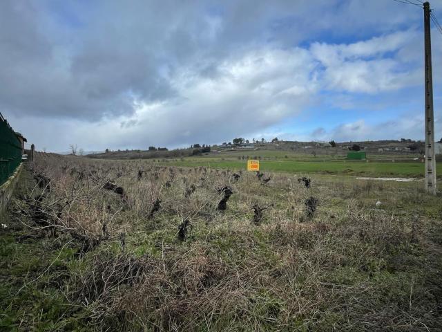 VENTA VIÑA EN LA VALGOMA