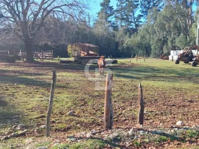 Venta Campo a 19 km del eje acceso Freire Villarrica Pucón | 0 dormitorios por 27261.00 en Freire