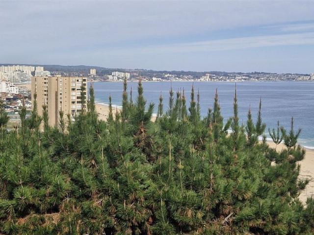 Venta Casa Algarrobo Lynch 125