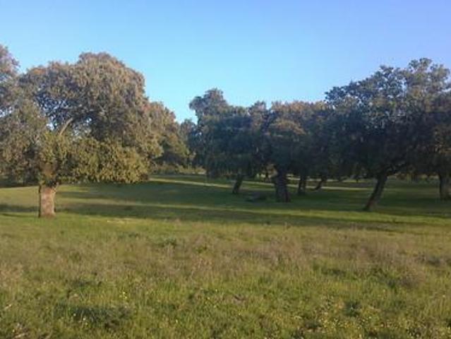 Venta Casa Coria Cáceres DS78112207