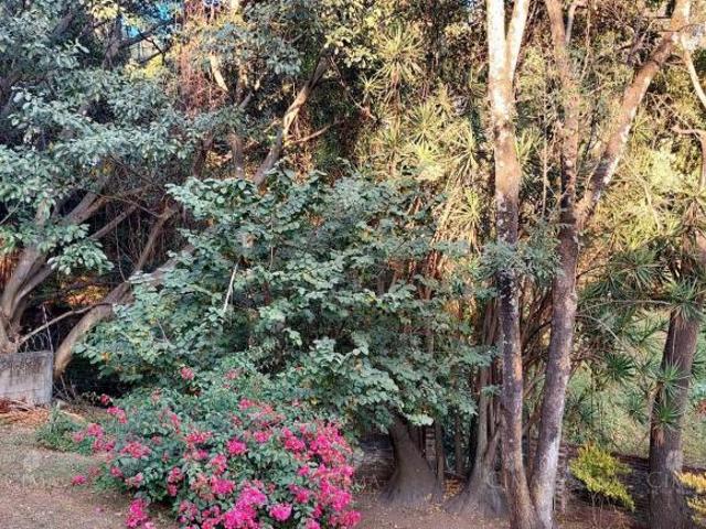 Venta casa en Miraval, Cuernavaca, Morelos V394