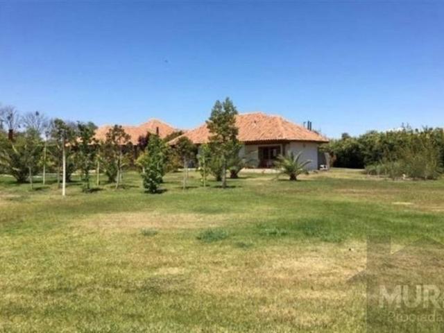 Venta Casa Talagante Carampangue LADISLAO COLEGIO TREBULCO, AUTOPISTA DEL SOL