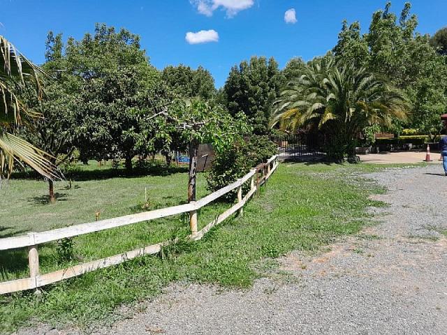 Venta Casa Yumbel hermosa parcela en la comuna de yumbel