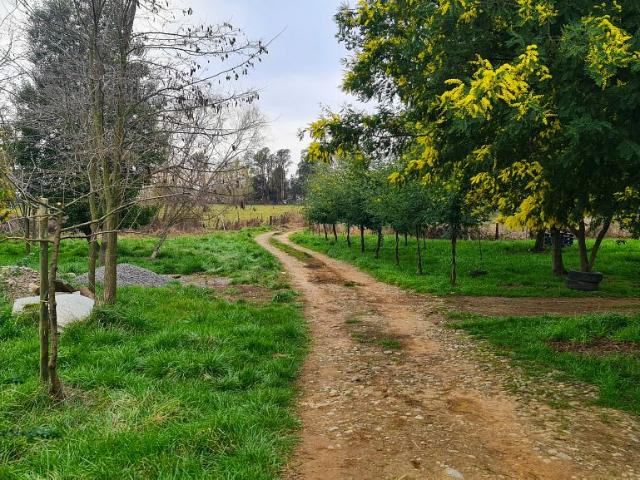 VENTA CASA 2HAB 1BA BULNES