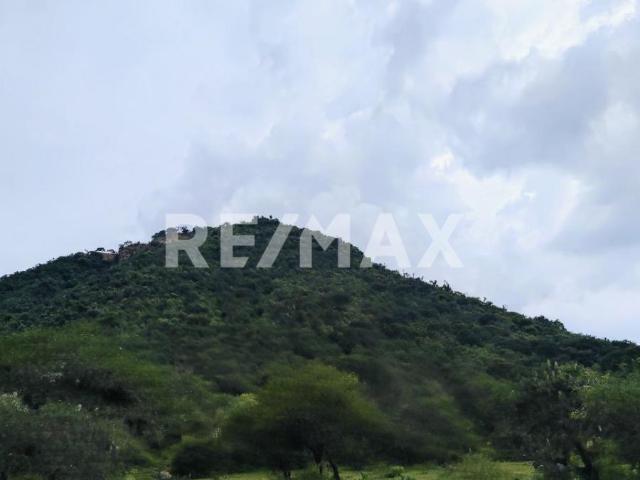 Venta de 50 ha de terreno Ecoturístico en Huasca de Ocampo Hidalgo