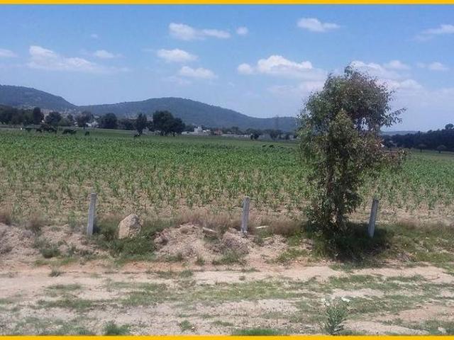 Venta de 59000m2 a pie de carretera