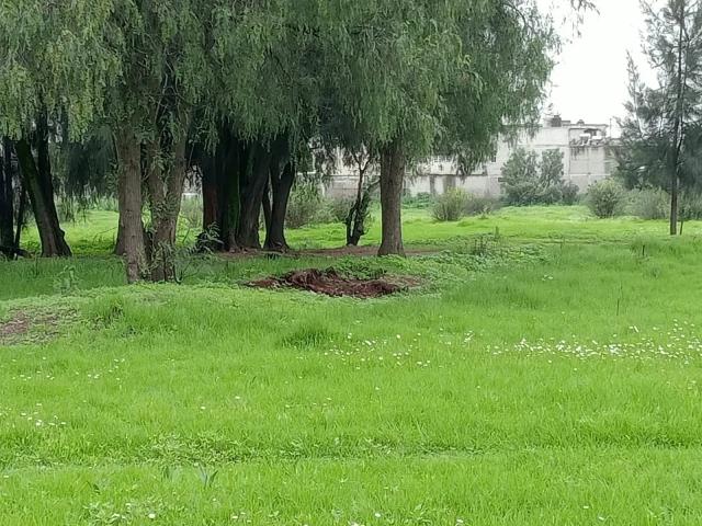 Venta de 6.6 hectareas en Ecatepec, choconautla