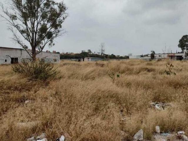 VENTA DE 2 HECTAREAS