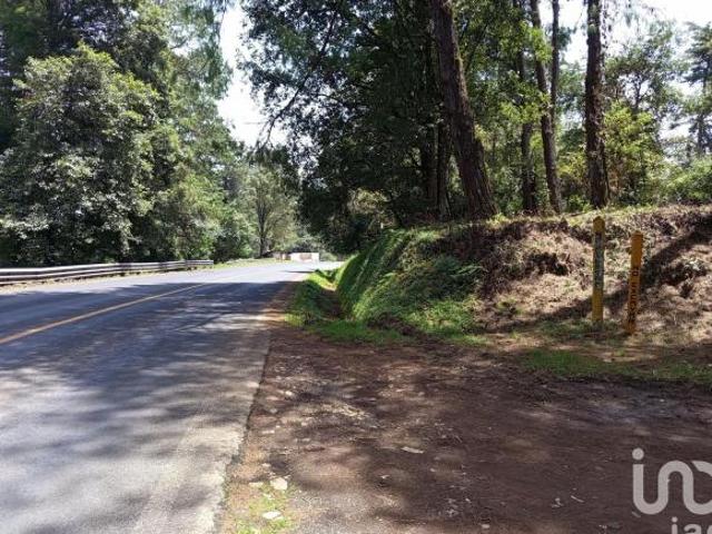 Venta de 2 Hectáreas en el Predio el Fresno en Huauchinango Puebla