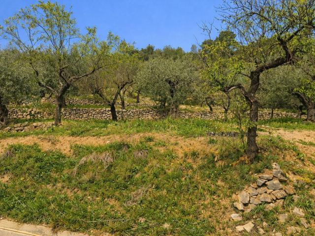 Venta de 3 parcelas rústicas en Castell de Castells