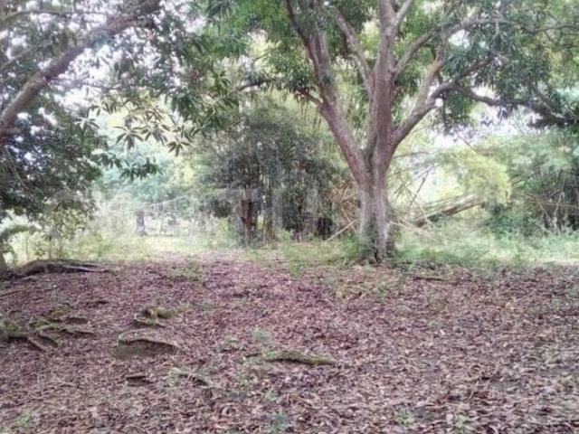 VENTA DE 3 TERRENOS EN TUXPAN VERACRUZ,A UN COSTADO DEL RÍO