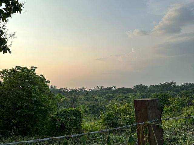 Venta de Terreno muy cerca Tecnologico en Tuxtepec Oaxaca