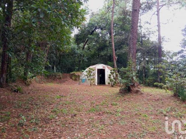 Venta de Terreno a Orilla de la Carretera Federal México Tuxpan. Huauchinango Puebla
