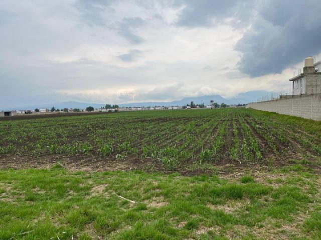 VENTA DE TERRENO A PIE DE CALLE EN SAN BARTOLITO TLALTELOLCO EN CALIMAYA