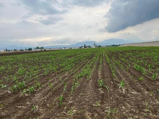 VENTA DE TERRENO A PIE DE CALLE EN SAN BARTOLITO TLALTELOLCO EN CALIMAYA