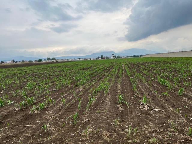VENTA DE TERRENO A PIE DE CALLE EN SAN BARTOLITO TLALTELOLCO EN CALIMAYA