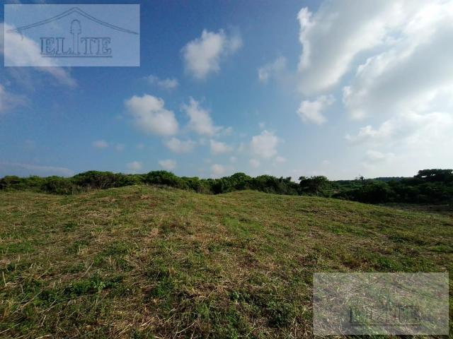 VENTA DE TERRENO A PIE DE CARRETERA BOCA DEL RIO ANTON LIZARDO